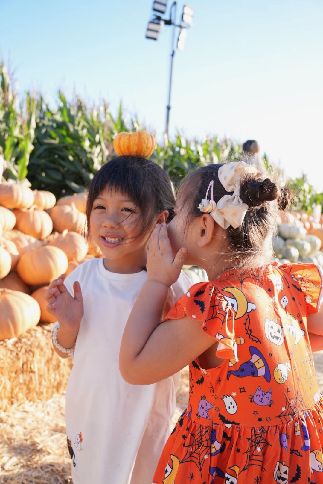 Two girls whispering to each other at a pumpkin patch, one in a white shirt with a tiny pumpkin balanced on her head
